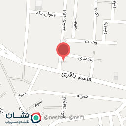 عکس اتوسرویس جواد ارجمند