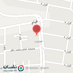 عکس پیتزا میزگرد