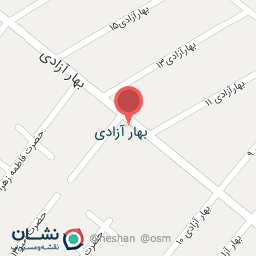 عکس کیف و کفش سناتور نایک