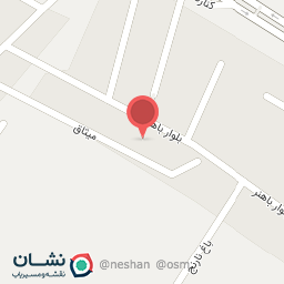 عکس فروشگاه برادران ناصری