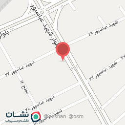 عکس تهیه غذا و چلوکباب گلستانی