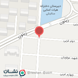 عکس پیتزا چیکن