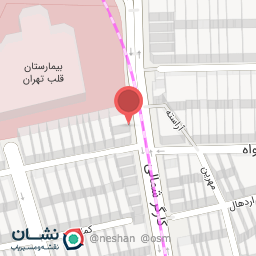 عکس کفش پاما