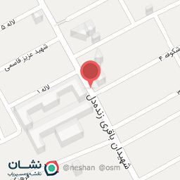 عکس بهداشتی امیر