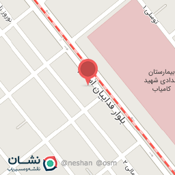 عکس برگر آتش