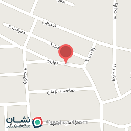 عکس نیکران موتور ( نمایشگاه   شاهانی)