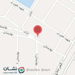 عکس پیتزا ماهان