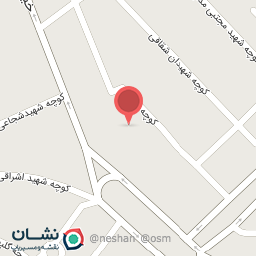 عکس کفش پرشین شعبه 2