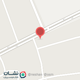 عکس نخل مارکت 