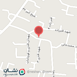 عکس هیئت زینبیون آستان مقدس پیرعلم 