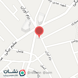 عکس خودپرداز