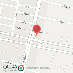 عکس پیتزا میتزا