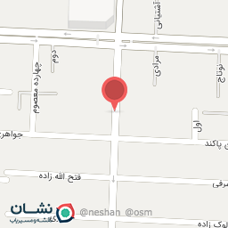 عکس آجیل و تخمه شمسعلی