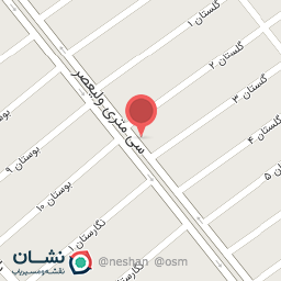 عکس عکاسی ماهان