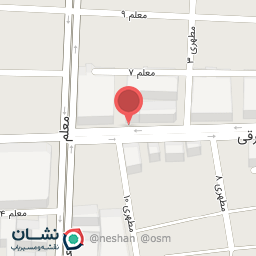 عکس کیف کفش میکلانژ