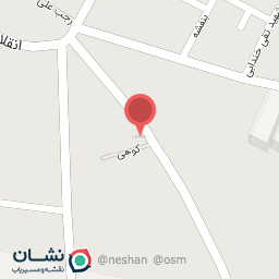 عکس قالیشویی رادین