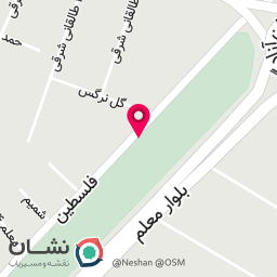 عکس پیتزا ساندویچ هزارو یک شب 