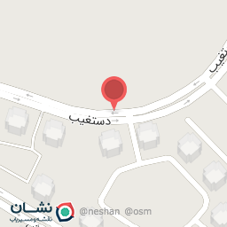 عکس الکتریکی علی