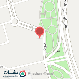 عکس پیتزا امین