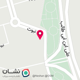 عکس پیتزا امین