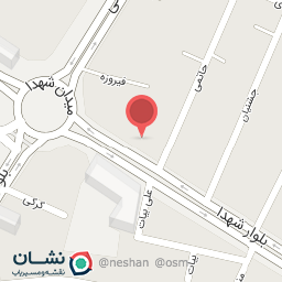 عکس کفش سیلوانا Silvana Shoe Shop