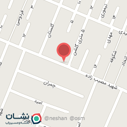 عکس بدلیجات و اکسسوری شاین