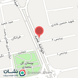 عکس سکیزو برگر