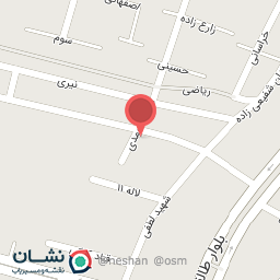 عکس پیتزا و ساندویچ موعود