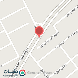 عکس مرغ و ماهی ولیعصر علی زمانی