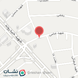 عکس کیف و کفش پایا