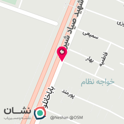 عکس شهیدین