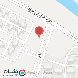 عکس پیتزا ونیز