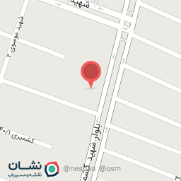 عکس پیتزا ساندویچ و مرغ بریان یک وقت خوش 