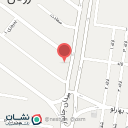 عکس کیف و کفش ایرانی زرقان