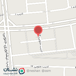 عکس فست فود آنلاین