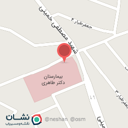 عکس پیتزا صبا