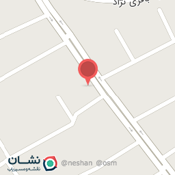 عکس برنج سرا و خشکبار پیمان