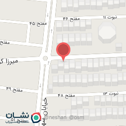 عکس سلمونی مونیک استایل