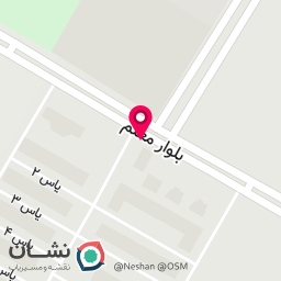 عکس فلاویچ