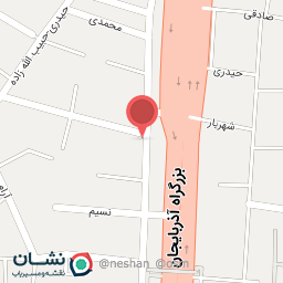 عکس مکانیکی برادران بهروزی 