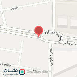 عکس چلو کبابی علی