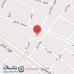 عکس پیتزا پانیز