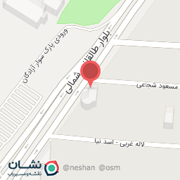 عکس نوین چرم شعبه عظیمیه