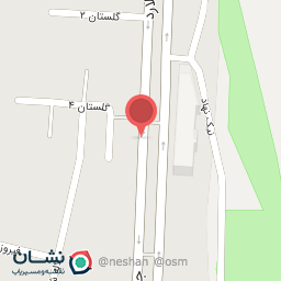 عکس اگزوز سازی
