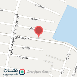 عکس مرغ قویدل 