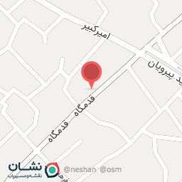 عکس پیتزا بوفالو