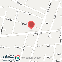 عکس پیتزا شف پویا