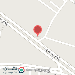 عکس دکتر سیده زهره شمس