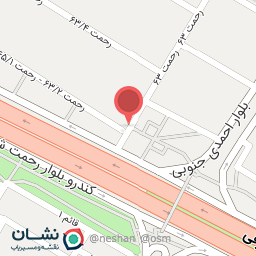 عکس پیتزا رضا