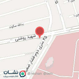 عکس ساندویچ و فلافل دز